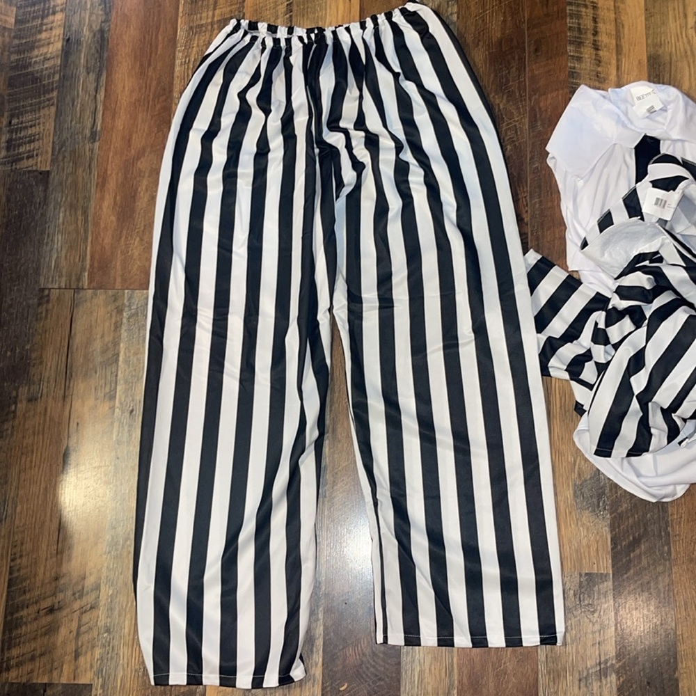 Beetlejuice Costume View 2